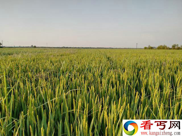 考古发现
