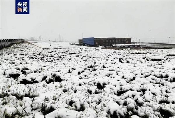 罕见!青海“三伏天”出现降雪