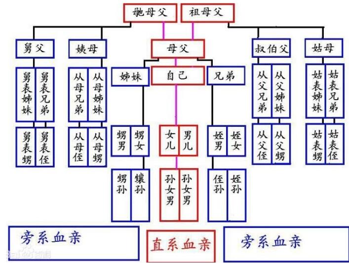 孩子辈分称呼大全图