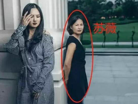 华为苏薇女士照片