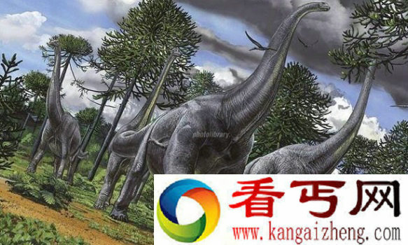 世界上最大的恐龙