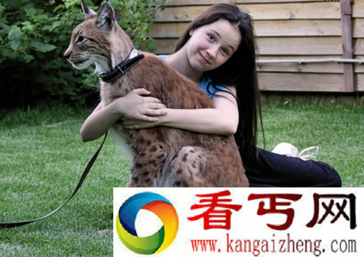 金猫