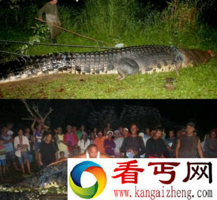 世界上最大的鳄鱼