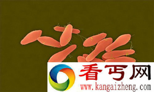 全世界最毒的东西肉杆菌毒素