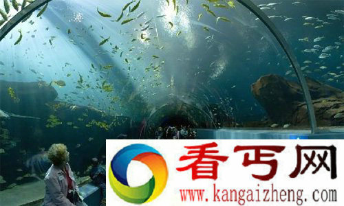 世界上最大的水族馆乔治亚水族馆