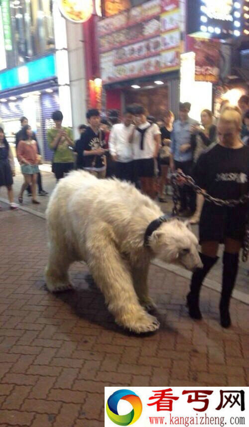 遛熊?东京女子街头遛熊 图