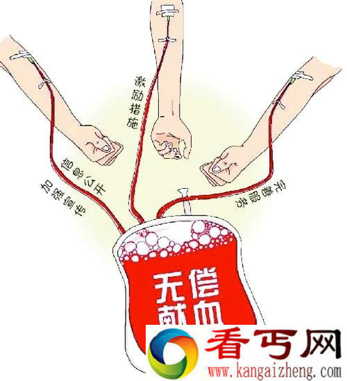 30年献血28万毫升“韩国献血王”每年献血1万毫升