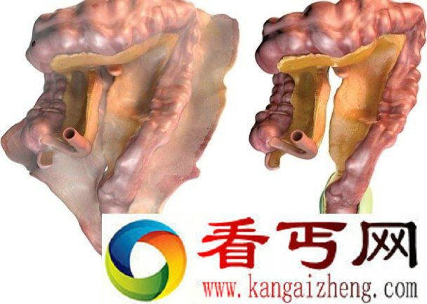 人体还有新器官未被发现 这研究结果靠谱不