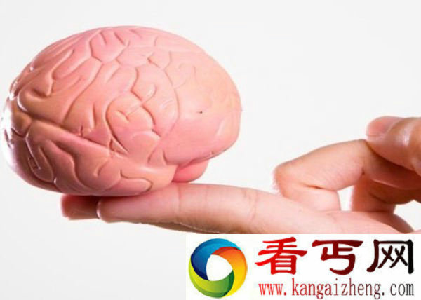 科学家利用干细胞技术制出人造脑 完美模拟人脑