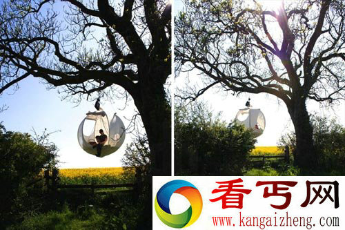 空中球形帐篷 你想在树上睡个安全觉么
