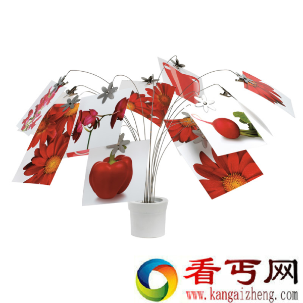 当你想晒相片的时候肯定会想起它