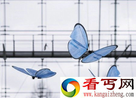 随风摇曳的蓝色蝴蝶竟是机器人？
