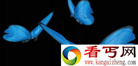 随风摇曳的蓝色蝴蝶竟是机器人？