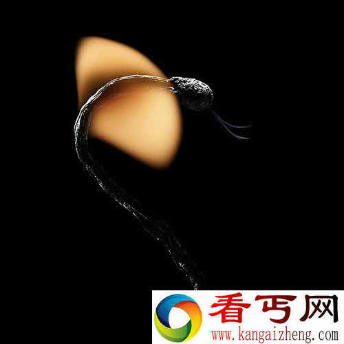 Flame Shapes 火柴的艺术 用火柴的火焰形状创作不同的图像