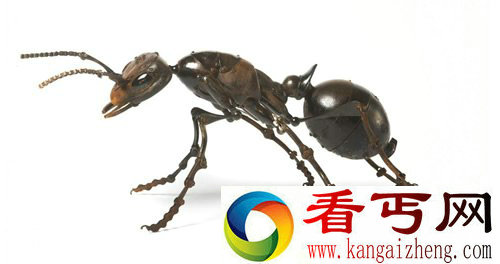 废弃材料制作动物造型雕塑