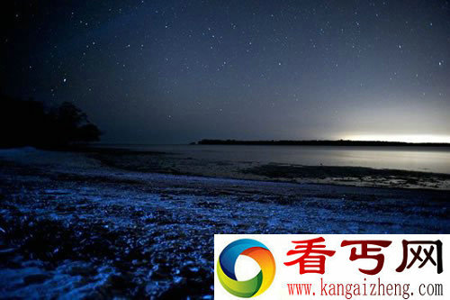 海里蓝色的“星星” 点亮夜晚海滩