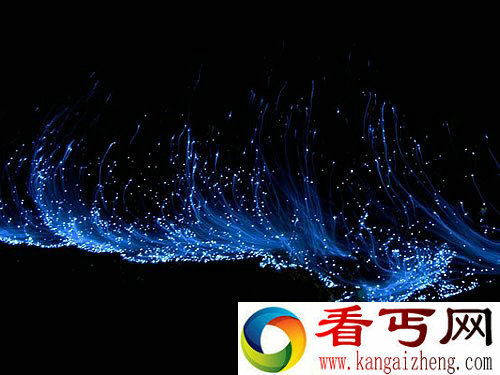 海里蓝色的“星星” 点亮夜晚海滩