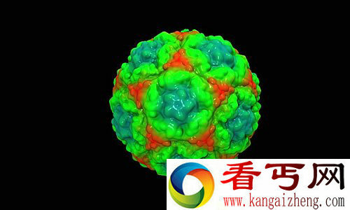 观摩下“感冒病毒”的3D结构