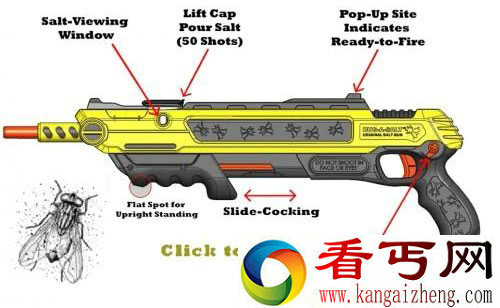 BugASalt一把能够集中喷射食盐的枪 目标是苍蝇