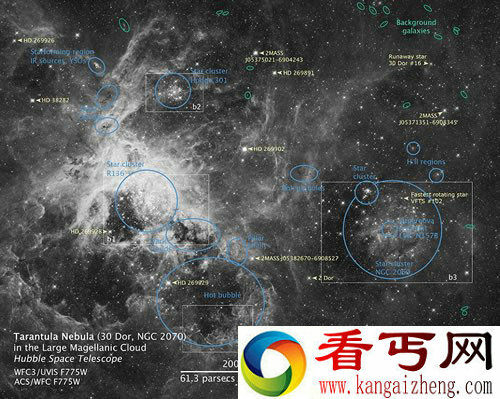 哈勃捕捉到蜘蛛星云中心“星爆” 数百万个年轻恒星组成