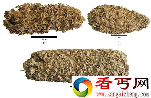 6700年前的爆米花 比之前预想的还要早2000年