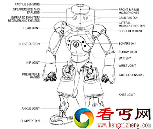 NAO NextGen 新一代可编程人形机器人