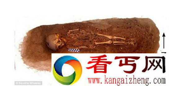 历史上最早的儿童受虐事件 考古发现两千年前埃及女童多处骨折