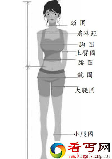 新一代性感美女标准 胸围是身高的一半