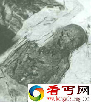 盘点从古至今盗墓者屡见不鲜的奸尸现象