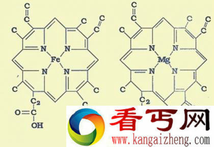 血液为什么会变成透明无色 血液变透明之谜