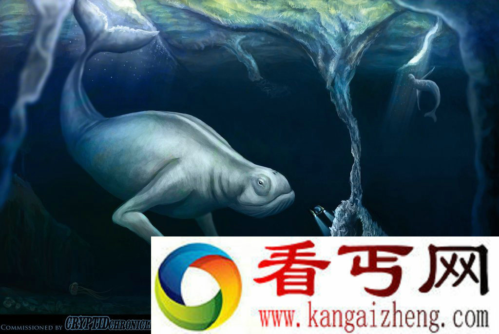 南极惊现神秘人形生物 此生物是否真实存在？