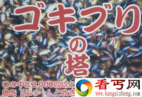 恶心死了！日本推出一座住有2000只住户的“蟑螂塔”