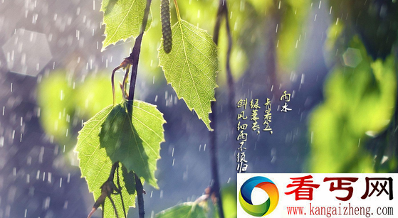 雨水节气的含义 雨水节气吃什么