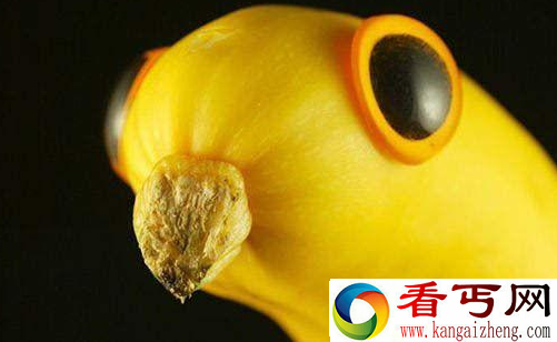 水果蔬菜秒变萌萌哒 你还忍心吃吗