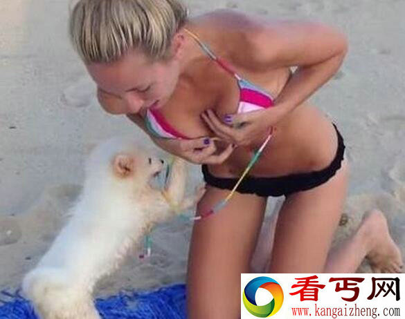 太诱惑！小狗狂扯女子胸罩 连乳头都露出来了
