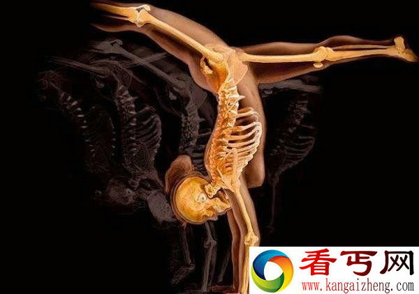 X光下的另类美女人体艺术
