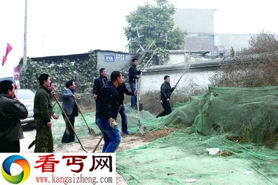 居民区附近两只藏獒追着路人跑 居民用铁锹将其抡死