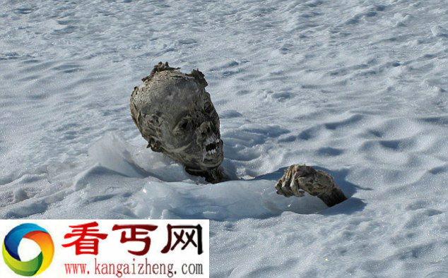 奥里萨巴山发现失踪55年登山者尸体早已变成干尸