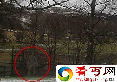 英国男子在旷野拍到有“鬼魂”出没