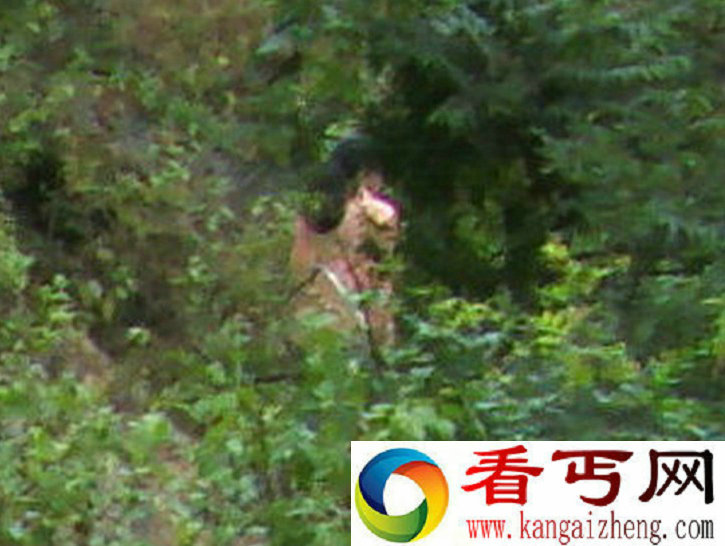 无意中拍到丛林间两个粉红色“山娃”