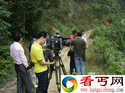 无意中拍到丛林间两个粉红色“山娃”