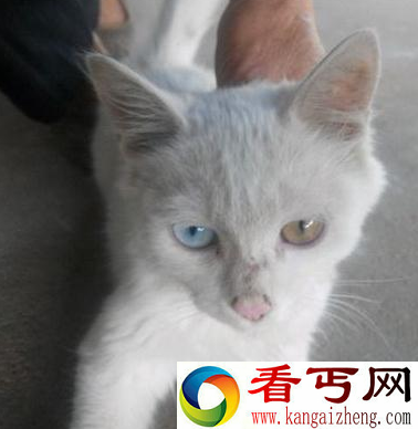 你信么 阴阳眼或许真的存在