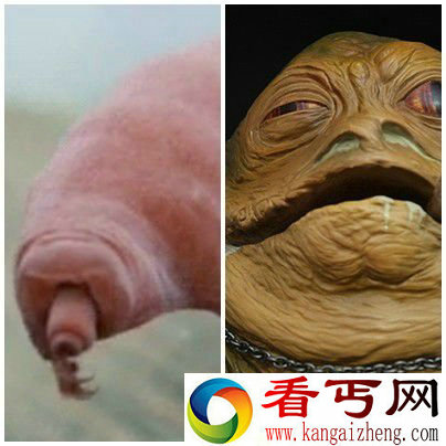太腻害了！零下273摄氏度也能生存的超强生物