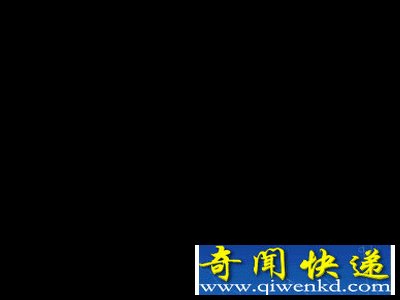 罕见连体羚羊宝宝 还未出世就夭折于母体内