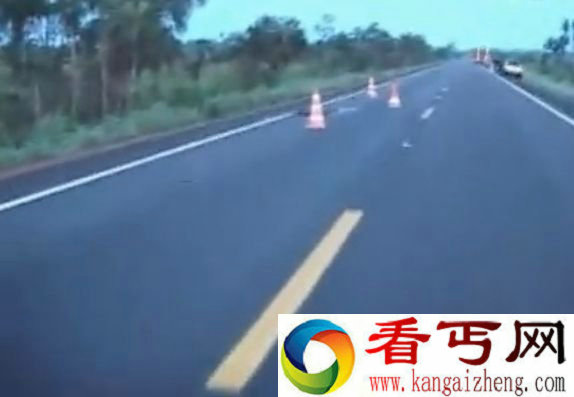 巨型水蚺惨遭车祸 肚子给撞破飞出多条小蛇