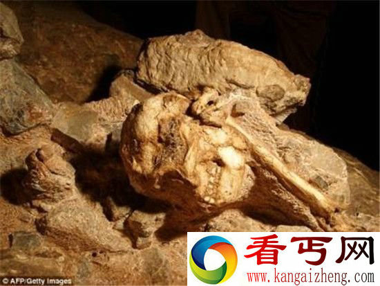 精灵竟是人类始祖？考古发现200万年前新证据