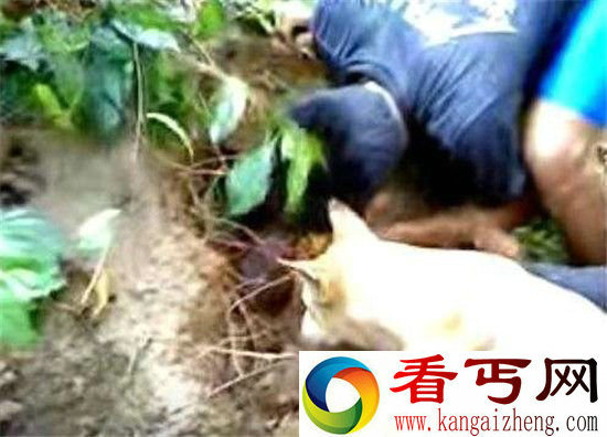 男子外出打猎发现这一幕 当时被吓跑了!