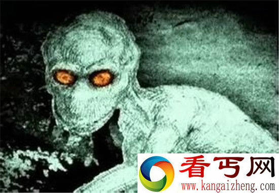 全球最诡异的动物 竟是外星生物太恐怖了!