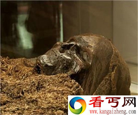 千年女尸古墓中产下七公斤诡异活婴 震惊世界!