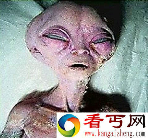 外星人